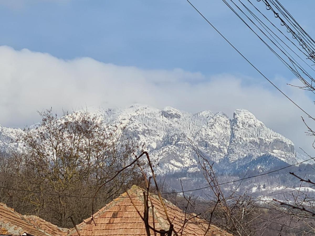 Casa Hera Călimăneşti Esterno foto