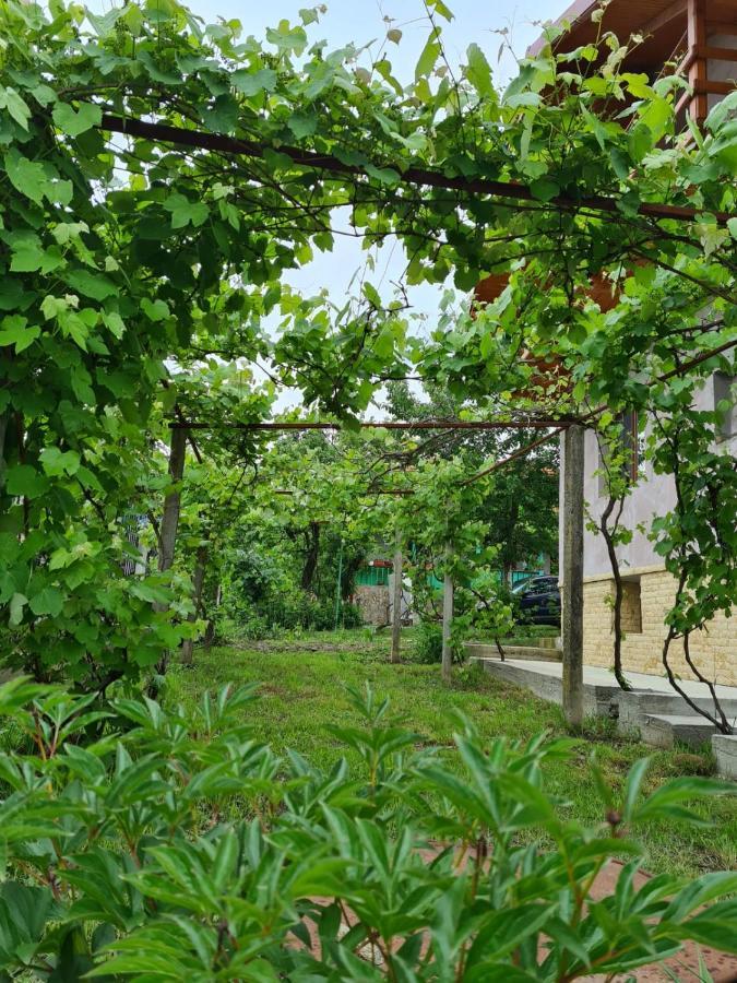Casa Hera Călimăneşti Esterno foto