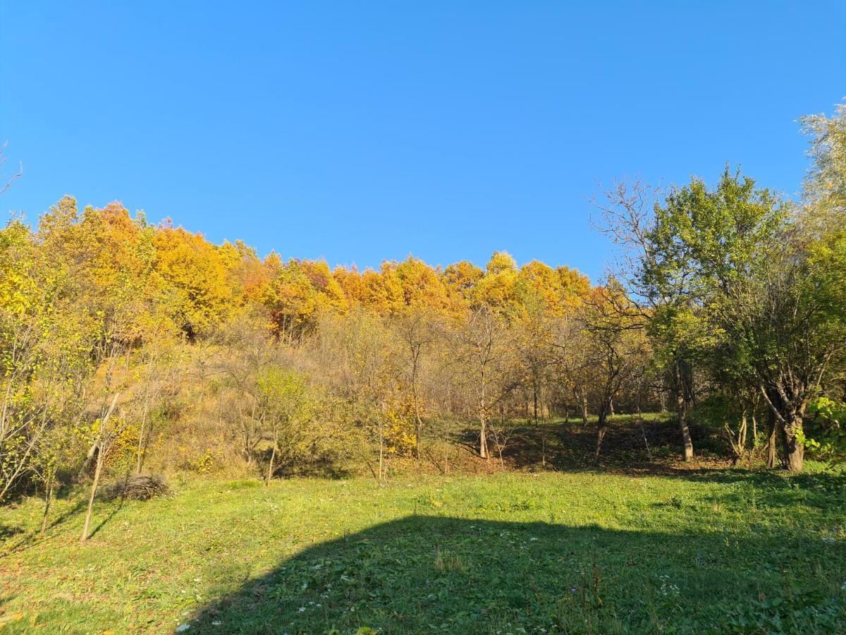 Casa Hera Călimăneşti Esterno foto