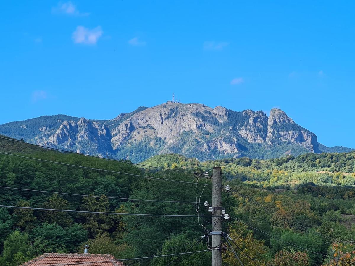Casa Hera Călimăneşti Esterno foto