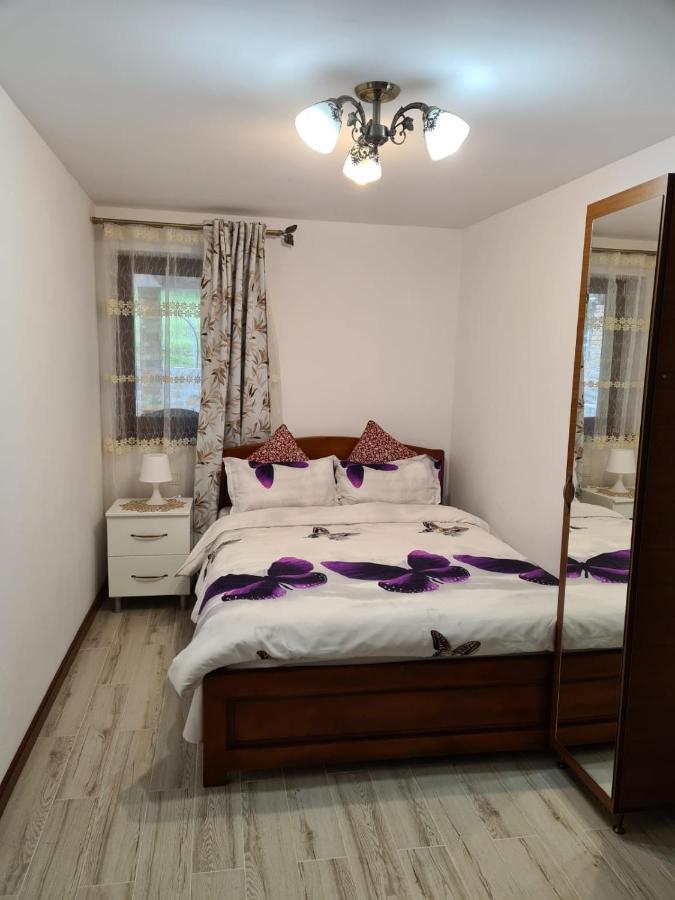 Casa Hera Călimăneşti Esterno foto