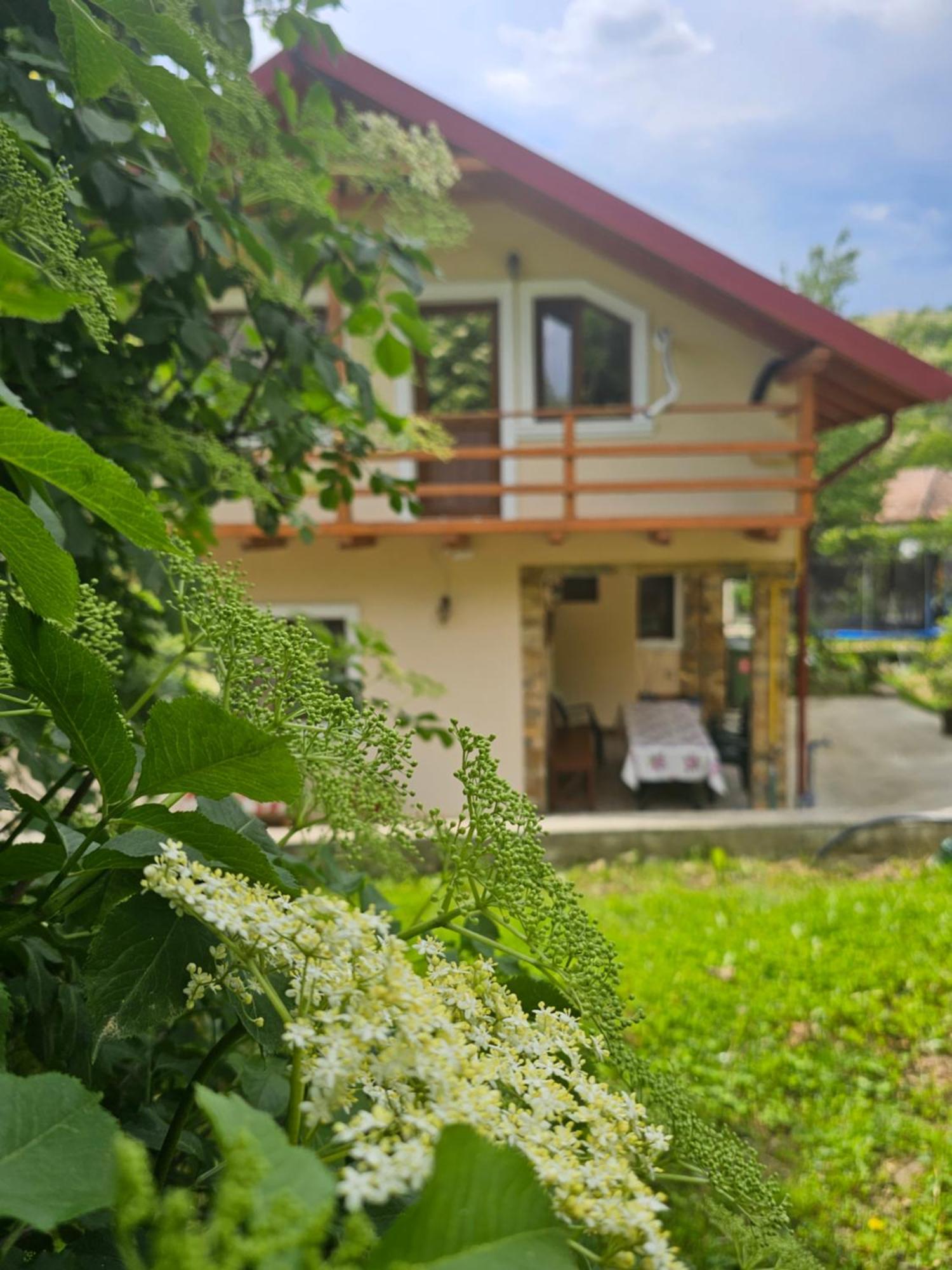 Casa Hera Călimăneşti Esterno foto