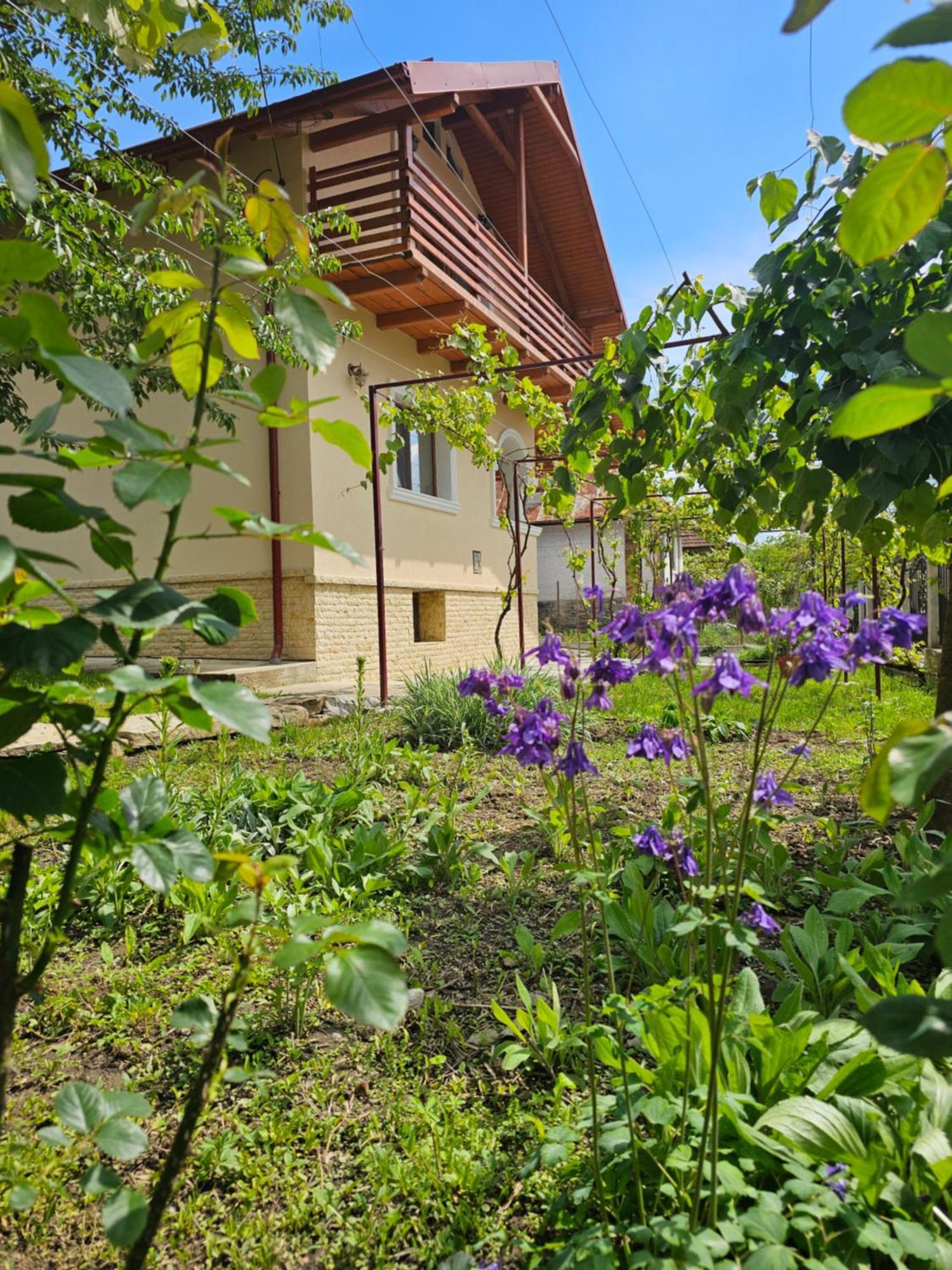 Casa Hera Călimăneşti Esterno foto